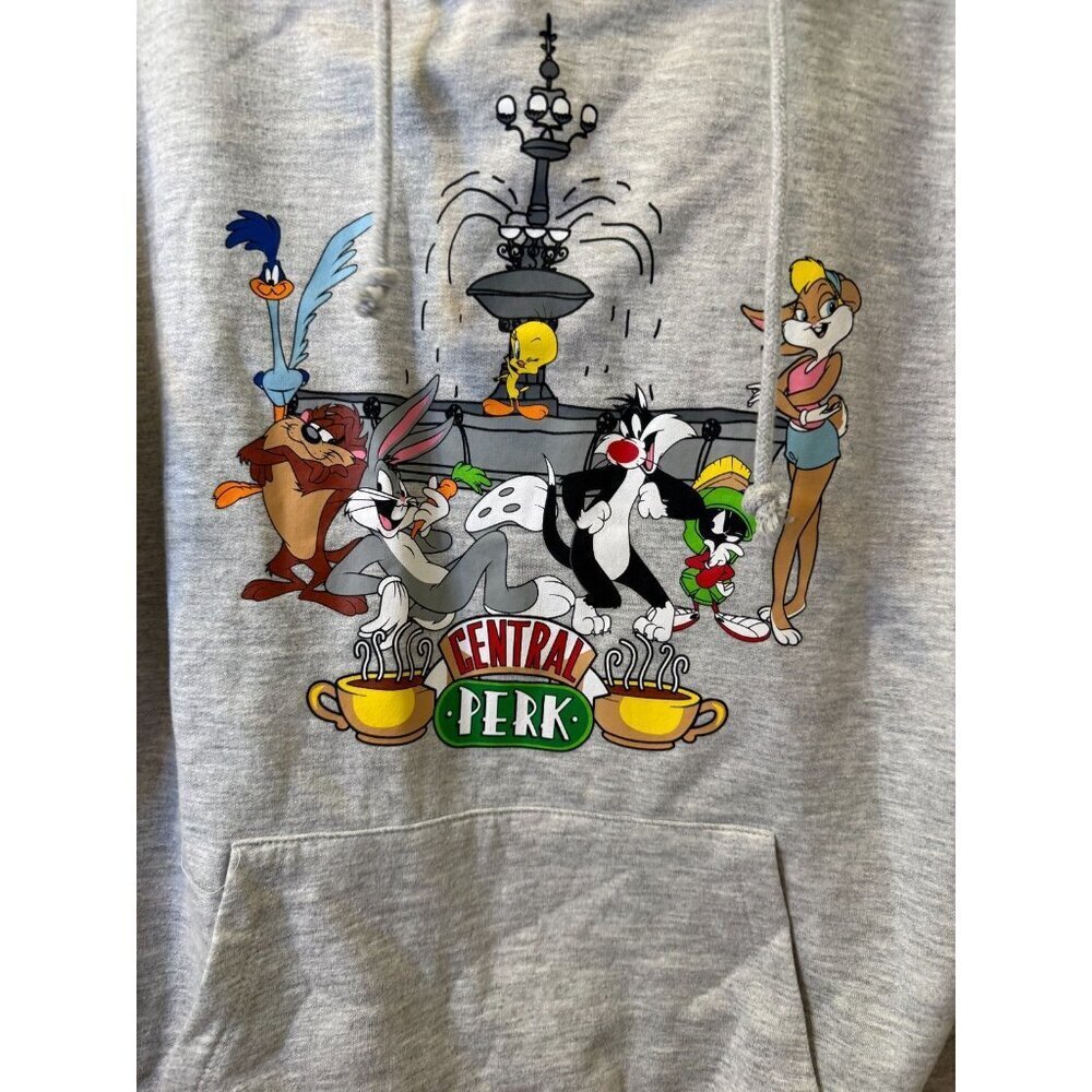 Looney Tunes Cartoon Central Perk Graphic Grey Hoodie - Size L (11-13) - Picture 4 of 8